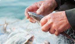 manos pescador
