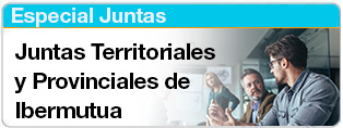 Juntas Territoriales y Provinciales de Ibermutua